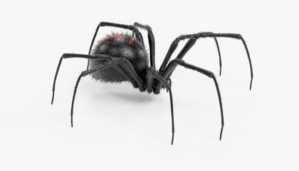 Realistic 3D Render of Black Widow Spider