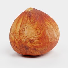 Realistic 3d Render of Hazelnut