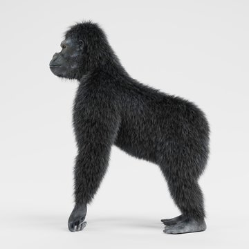 Realistic 3d Render of Gorilla