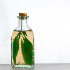 Infusion on the leaves of marijuana in a jar on a white background.