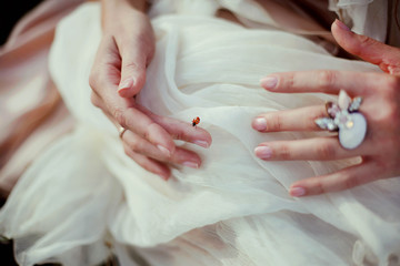 Fototapeta premium Beautiful woman's hands on nature