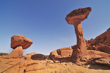 Chad Southern Sahara desert Ennedi massif needles and sandstone mushrooms of Sicandre
 - obrazy, fototapety, plakaty
