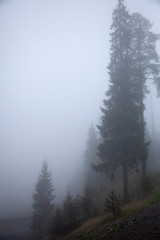 Beautiful nature and mountains in the fog