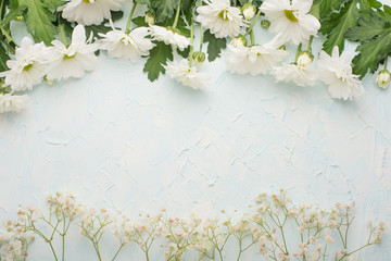 White chrysanthemums on a wooden background, top view, with empty space for writing or advertising