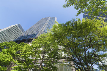 Fototapeta na wymiar 東京・新緑と高層ビル
