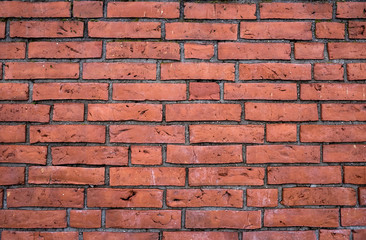 Old Brick Wall Texture Top View