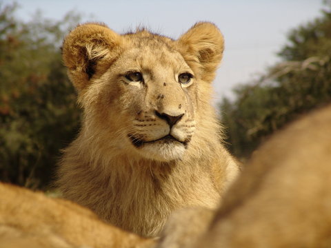 1226 이미지 찾아보기 563 스톡 사진, 벡터 및 비디오 Adobe Stock