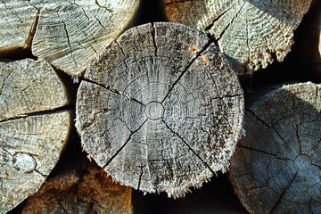 Pile of firewood. Close-up. Background. Texture.