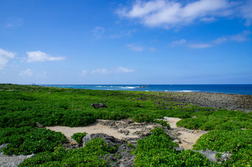 沖縄の残波岬