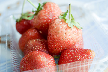 fresh strawberry