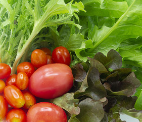 fresh organic of colorful mix vegetables isolate on white background, green and red lettuce, mizuna lettuce, cherry tomato, ingredients are preparing in the blow for cooking, healty