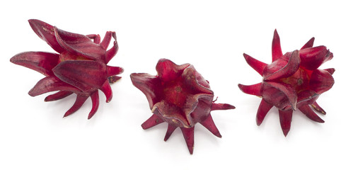 organic red roselle hibiscus, fruit flower isolate on white background.