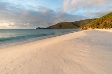 White sand beach in the Wilsons Promontory