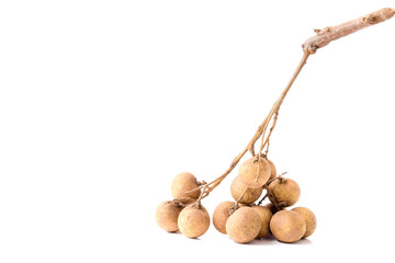 Fresh longan on white background
