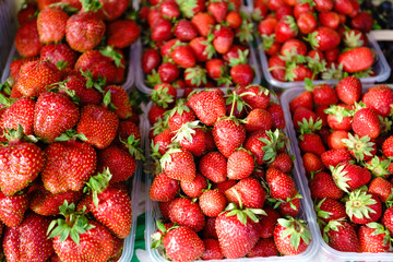 fresh strawberries for sale at a market
