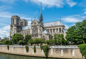 Fototapeta na wymiar Cathedral of Notre Dame in Paris and the Seine river
