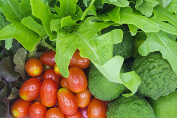 fresh organic of colorful mix vegetables background, green and red lettuce, cherry tomato, bergamot, for cooking, healty