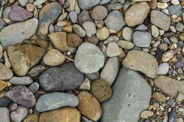 Striped stone in nature
