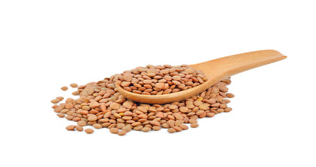 Lentils bean on white background