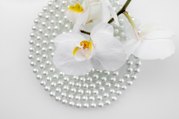 pearl and white orchid on a white glass 