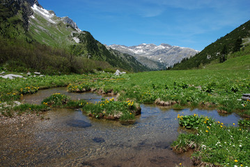 Alpenpanorama am Spullerbach; Vorarlberg; Österreich