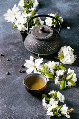 Traditional ceramic cup of hot green tea with black iron teapot, spring flowers white magnolia and...