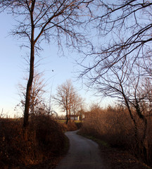 fossano in autumn