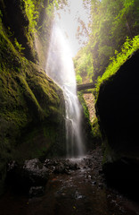 Fototapeta na wymiar Waterfall on the island of la palma - Los Tilos forest // Cascada de Los Tilos - La Palma (Canarias)