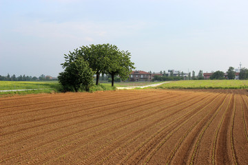 fossano in spring