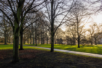 Public park in London