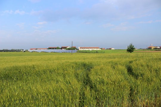 fossano in spring