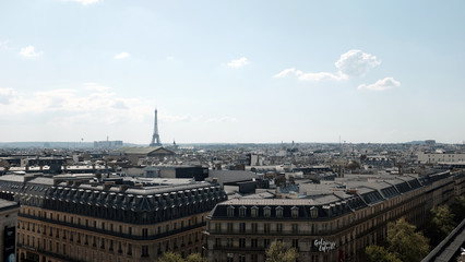 Fototapeta na wymiar Spring in paris