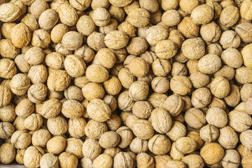 Background of walnut fruit. close-up