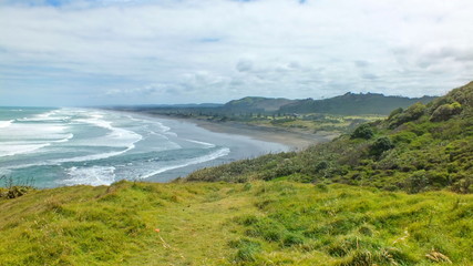 Australasian Gannet Colony, Muriwai, North Island, New Zealand