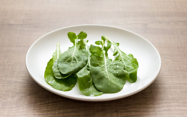 Arugula leaf or Rocket Salad. Vegetable on white dish and wooden table.