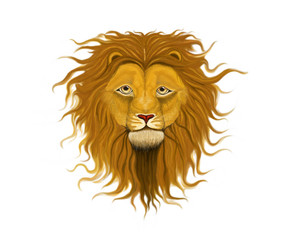 A lion with a lush wavy mane and a kind look