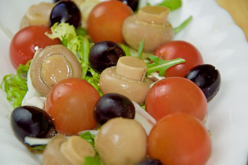 Vegetable salad with olive oil