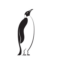 Stylized penguin illustration