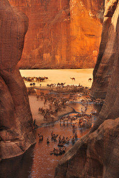 The Guelta d'Archei located in the Ennedi Plateau, in north-eastern Chad
