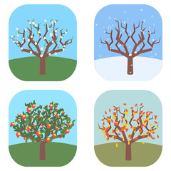 apple tree at four seasons vector illustration