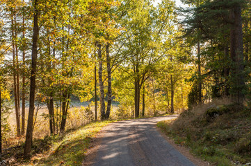 Fototapeta na wymiar The countryside of Vikbolandet during autumn in Sweden