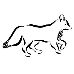 Going fox, smooth black lines