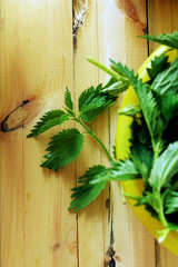 Stinging nettles on the kitchen table