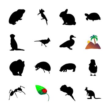 icon Animal with element, ducky, spring, farm and leaf