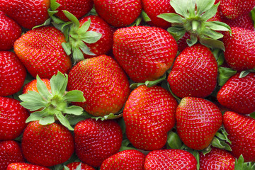 Red strawberries