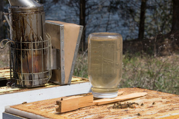 Prepping bees for new hive