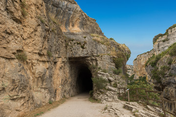 Fototapeta na wymiar Entrance of a tunnel in the green way of irati