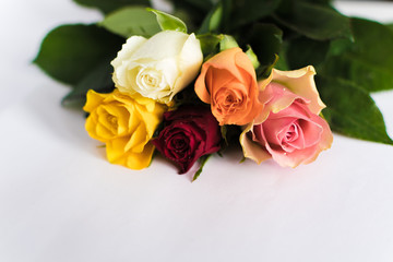 five roses multicolor