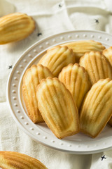 Homemade Sweet French Madeleines