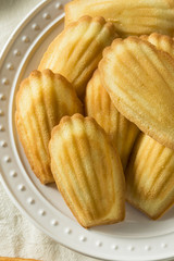 Homemade Sweet French Madeleines
